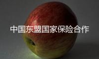 中國東盟國家保險合作