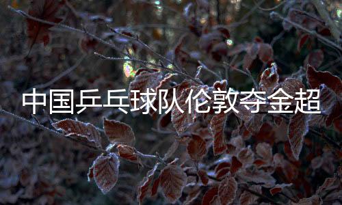 中國乒乓球隊倫敦奪金超上屆　男團首奪殘奧冠軍