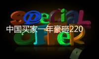 中國買家一年豪砸220億美元在美購房