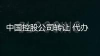 中國控股公司轉讓 代辦無地域核名疑難提交