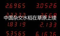 中國(guó)雜交水稻在草原上續(xù)寫“袁夢(mèng)計(jì)劃”—新聞—科學(xué)網(wǎng)