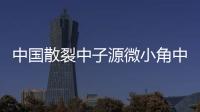中國散裂中子源微小角中子散射譜儀成功出束 提供先進研究平臺支撐