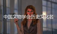 中國文物學會歷史文化名樓保護專業委員會第十四屆論壇召開