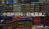 中國新聞網：甘南草原上的“譯寄瓦”：讓郵政“綠”成為草原最美的色彩