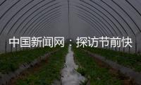 中國新聞網：探訪節前快遞企業：快件也需“過年關”