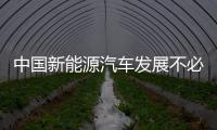 中國新能源汽車發展不必膜拜特斯拉？