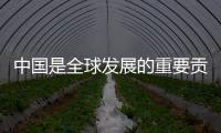 中國是全球發展的重要貢獻者（國際論壇）