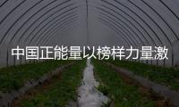 中國正能量以榜樣力量激發強大正能量