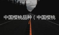 中國櫻桃品種（中國櫻桃）