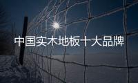中國實木地板十大品牌