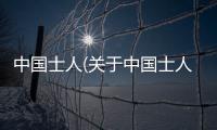 中國士人(關(guān)于中國士人簡述)