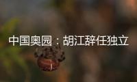 中國奧園：胡江辭任獨立非執(zhí)董等職務、李鏡波接任