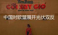 中國對歐盟展開光伏雙反調查,行業資訊