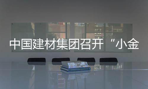 中國建材集團召開“小金庫”專項治理電話會議,行業資訊