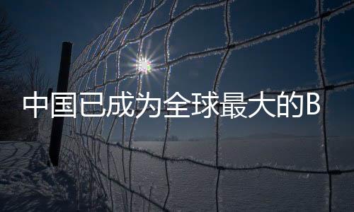 中國已成為全球最大的B2C跨境電商交易市場