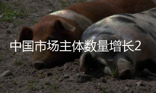 中國市場主體數量增長222倍 明年全面實現“企業開辦8.5天”