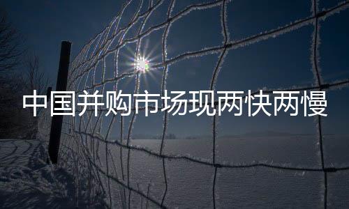 中國并購市場現兩快兩慢格局