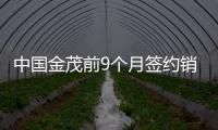 中國(guó)金茂前9個(gè)月簽約銷售額近1100億元