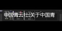 中國青云社(關于中國青云社簡述)