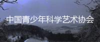 中國青少年科學藝術協會(關于中國青少年科學藝術協會簡述)