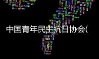 中國青年民主抗日協會(關于中國青年民主抗日協會簡述)