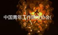 中國青年工作院校協會(關于中國青年工作院校協會簡述)