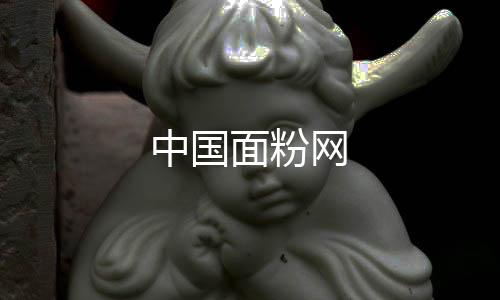 中國面粉網