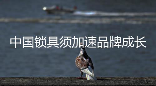 中國鎖具須加速品牌成長向制造強國轉變
