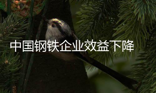 中國鋼鐵企業(yè)效益下降 前三季利潤降逾三成