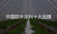 中國防水涂料十大品牌