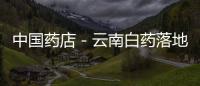 中國藥店－云南白藥落地無錫 授權95家藥店特許經銷