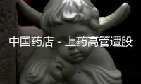 中國藥店－上藥高管遭股東質問 博時基金仍堅守