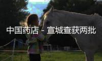 中國藥店－宣城查獲兩批假冒江中藥業生產的健胃消食片
