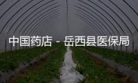 中國藥店－岳西縣醫保局對慢性病定點藥店下達總額控制指標