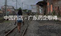 中國藥店－廣東藥企取得中醫藥國際化突破