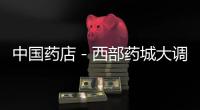 中國(guó)藥店－西部藥城大調(diào)整 克隆大型連鎖超市思路