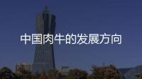中國肉牛的發展方向