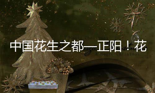 中國花生之都—正陽！花生天地花生不可錯過的美味零食！