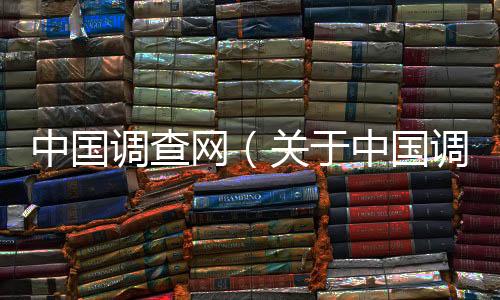 中國調查網（關于中國調查網的基本情況說明介紹）
