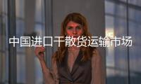 中國進(jìn)口干散貨運輸市場周度報告（2015.11.19)