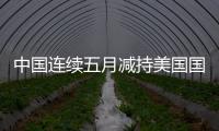 中國連續五月減持美國國債
