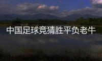 中國足球競猜勝平負老牛足彩分析預測足球快報