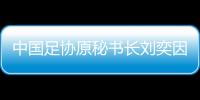 中國足協原秘書長劉奕因受賄獲刑11年
