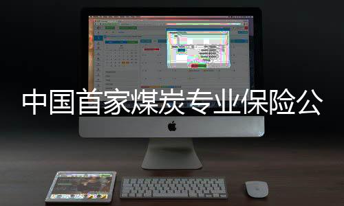 中國首家煤炭專業(yè)保險公司正式運行
