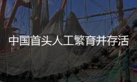 中國首頭人工繁育并存活的二代江豚取名“漢寶”