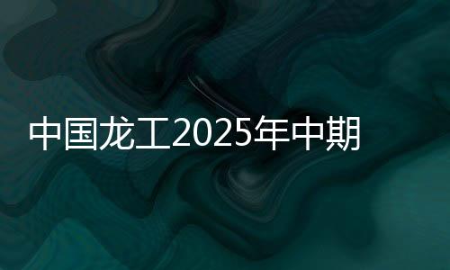 中國龍工2025年中期業績發布