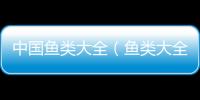 中國魚類大全（魚類大全）
