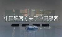 中國(guó)黑客（關(guān)于中國(guó)黑客的基本情況說明介紹）