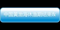 中國黃渤海休漁期結(jié)束 大連海域進(jìn)入秋捕季