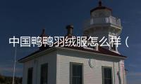 中國(guó)鴨鴨羽絨服怎么樣（鴨鴨羽絨服怎么樣）